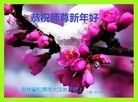 Published on 12/31/2015 ���ֹ�,����ʡ�󷨵��ӹ�ףʦ���������(25��)
