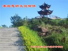 Published on 12/29/2015 ���ֹ�,��½�󷨵��ӹ�ףʦ���������(27��)

