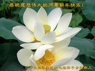 Published on 12/29/2015 ���ֹ�,��½�󷨵��ӹ�ףʦ���������(29��)

