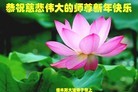 Published on 12/31/2015 ���ֹ�,��½�󷨵��ӹ�ףʦ���������(26��)
