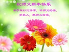 Published on 12/31/2015 ���ֹ�,��½�󷨵��ӹ�ףʦ���������(26��)
