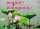 Published on 12/31/2015 ���ֹ�,��½�󷨵��ӹ�ףʦ���������(26��)
