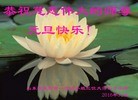 Published on 12/31/2015 ���ֹ�,��½�󷨵��ӹ�ףʦ���������(26��)
