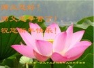 Published on 12/31/2015 ���ֹ�,��½�󷨵��ӹ�ףʦ���������(26��)
