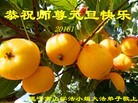 Published on 12/31/2015 ���ֹ�,��½�󷨵��ӹ�ףʦ���������(26��)
