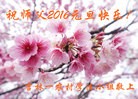Published on 12/31/2015 ���ֹ�,����ʡ�󷨵��ӹ�ףʦ���������(25��)
