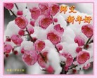 Published on 12/29/2015 ���ֹ�,��½�󷨵��ӹ�ףʦ���������(33��)
