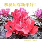 ���ֹ�,�ൺ�󷨵��ӹ�ףʦ���������(25��)
