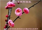Published on 12/31/2015 ���ֹ�,���󷨵��ӹ�ףʦ���������(18��)

