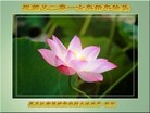 Published on 12/31/2015 ���ֹ�,���󷨵��ӹ�ףʦ���������(18��)
