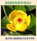 Published on 12/31/2015 ���ֹ�,����ҵ�󷨵��ӹ�ףʦ�������(35��)
