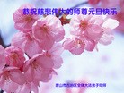 ���ֹ�,��ɽ�󷨵��ӹ�ףʦ���������(30��)
