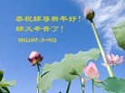 Published on 1/1/2016 ���ֹ�,��½�󷨵��ӹ�ףʦ���������(25��)
