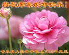 Published on 1/1/2016 ���ֹ�,��½�󷨵��ӹ�ףʦ���������(25��)
