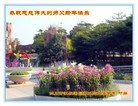 Published on 1/1/2016 ���ֹ�,��½�󷨵��ӹ�ףʦ���������(25��)
