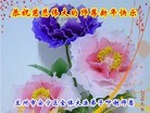 Published on 12/29/2015 ���ֹ�,��½�󷨵��ӹ�ףʦ���������(38��)
