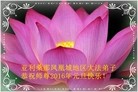 Published on 1/1/2016 ���ֹ�,�����׶���ŦԼ������ͼ�ȵش󷨵��ӹ�ףʦ�������
