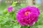 Published on 1/1/2016 ���ֹ�,��½�󷨵��ӹ�ףʦ���������(25��)
