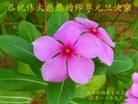 Published on 1/1/2016 ���ֹ�,��½�󷨵��ӹ�ףʦ���������(25��)
