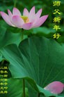 Published on 1/1/2016 ���ֹ�,��½�󷨵��ӹ�ףʦ���������(25��)
