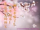 Published on 1/1/2016 ���ֹ�,��½�󷨵��ӹ�ףʦ���������(25��)
