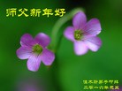 Published on 1/1/2016 ���ֹ�,��½�󷨵��ӹ�ףʦ���������(25��)
