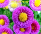 Published on 1/1/2016 ���ֹ�,��½�󷨵��ӹ�ףʦ���������(25��)
