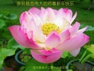 Published on 1/1/2016 ���ֹ�,��½�󷨵��ӹ�ףʦ���������(25��)
