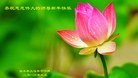 Published on 1/1/2016 ���ֹ�,��½�󷨵��ӹ�ףʦ���������(25��)
