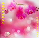 Published on 12/31/2015 ���ֹ�,��½�󷨵��ӹ�ףʦ���������(26��)
