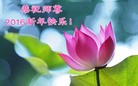 Published on 12/31/2015 ���ֹ�,��½�󷨵��ӹ�ףʦ���������(26��)
