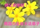 Published on 12/31/2015 ���ֹ�,��½�󷨵��ӹ�ףʦ���������(26��)
