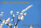 Published on 12/29/2015 ���ֹ�,��½�󷨵��ӹ�ףʦ���������(38��)
