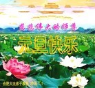 ���ֹ�,���մ󷨵��ӹ�ףʦ���������(26��)
