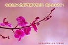Published on 12/29/2015 ���ֹ�,��½�󷨵��ӹ�ףʦ���������(35��)
