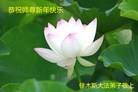 ���ֹ�,��ľ˹�󷨵��ӹ�ףʦ���������(27��)
