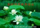 Published on 1/1/2016 ���ֹ�,��½�󷨵��ӹ�ףʦ���������(40��)
