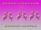 Published on 1/1/2016 ���ֹ�,�����׶���ŦԼ������ͼ�ȵش󷨵��ӹ�ףʦ�������
