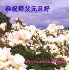 ���ֹ�,�����󷨵��ӹ�ףʦ���������(41��)
