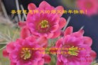 Published on 1/1/2016 ���ֹ�,��½�󷨵��ӹ�ףʦ���������(43��)

