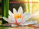 Published on 1/1/2016 ���ֹ�,��½�󷨵��ӹ�ףʦ���������(25��)
