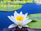 Published on 12/31/2015 ���ֹ�,��½�󷨵��ӹ�ףʦ���������(30��)
