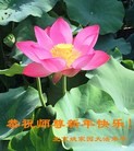 Published on 12/31/2015 ���ֹ�,��½�󷨵��ӹ�ףʦ���������(30��)
