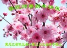 Published on 12/31/2015 ���ֹ�,��½�󷨵��ӹ�ףʦ���������(30��)
