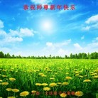 ���ֹ�,�����󷨵��ӹ�ףʦ���������(26��)
