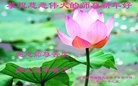 Published on 1/1/2016 ���ֹ�,����ҵ�󷨵��ӹ�ףʦ�������(37��)
