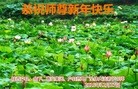 Published on 1/1/2016 ���ֹ�,����ҵ�󷨵��ӹ�ףʦ�������(37��)
