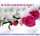 ���ֹ�,�żҿڴ󷨵��ӹ�ףʦ������(24��)

