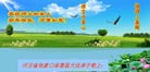 ���ֹ�,�żҿڴ󷨵��ӹ�ףʦ������(24��)
