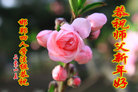 ���ֹ�,�ӱ��󷨵��ӹ�ףʦ������(23��)
